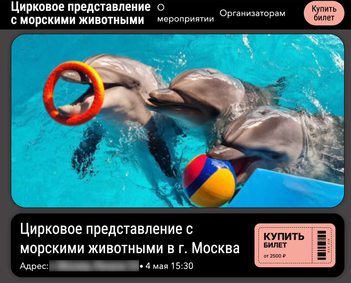 Рис. 10 — Пример мошеннического сайта с покупкой билетов на цирковое представление