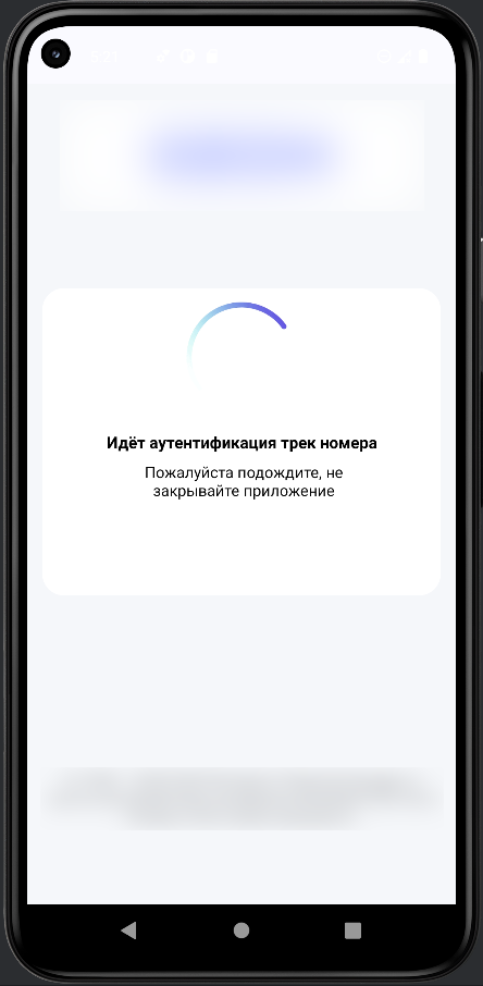 Рис. 5 Окно с анимацией загрузки