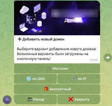 Рисунок 16. Выбор способа подключения/получения домена в боте