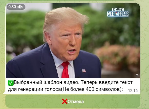 Рисунок 2. Ввод текста для создания дипфейка