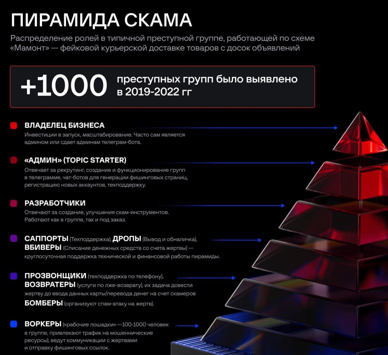Изображение 1. Распределение ролей в преступной схеме Мамонт