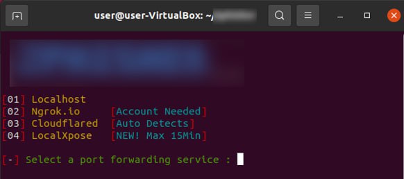 Консоль фишинг-кита: выбор сервиса проброса портов — localhost, ngrok, cloudflared, LocalXpose