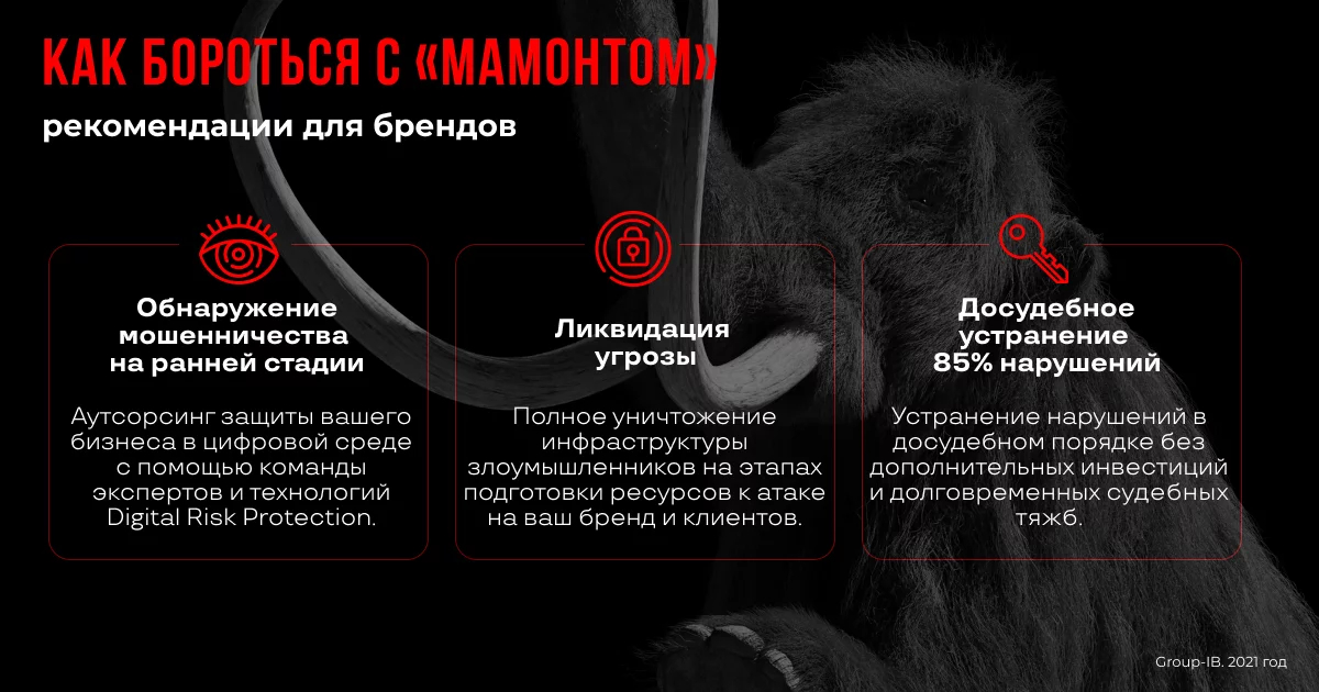 Итоги исследования схемы «Мамонт»: масштаб и география мошеннических групп
