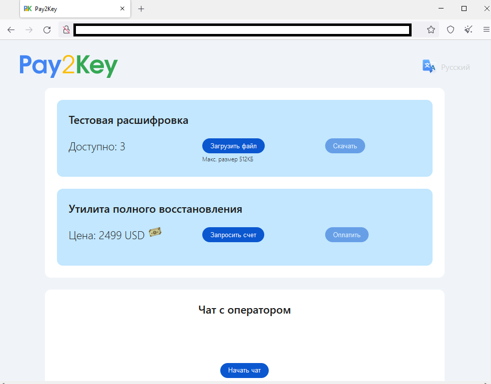 Рис. 12. Снимок экрана — Страница для оплаты выкупа жертвы Pay2Key