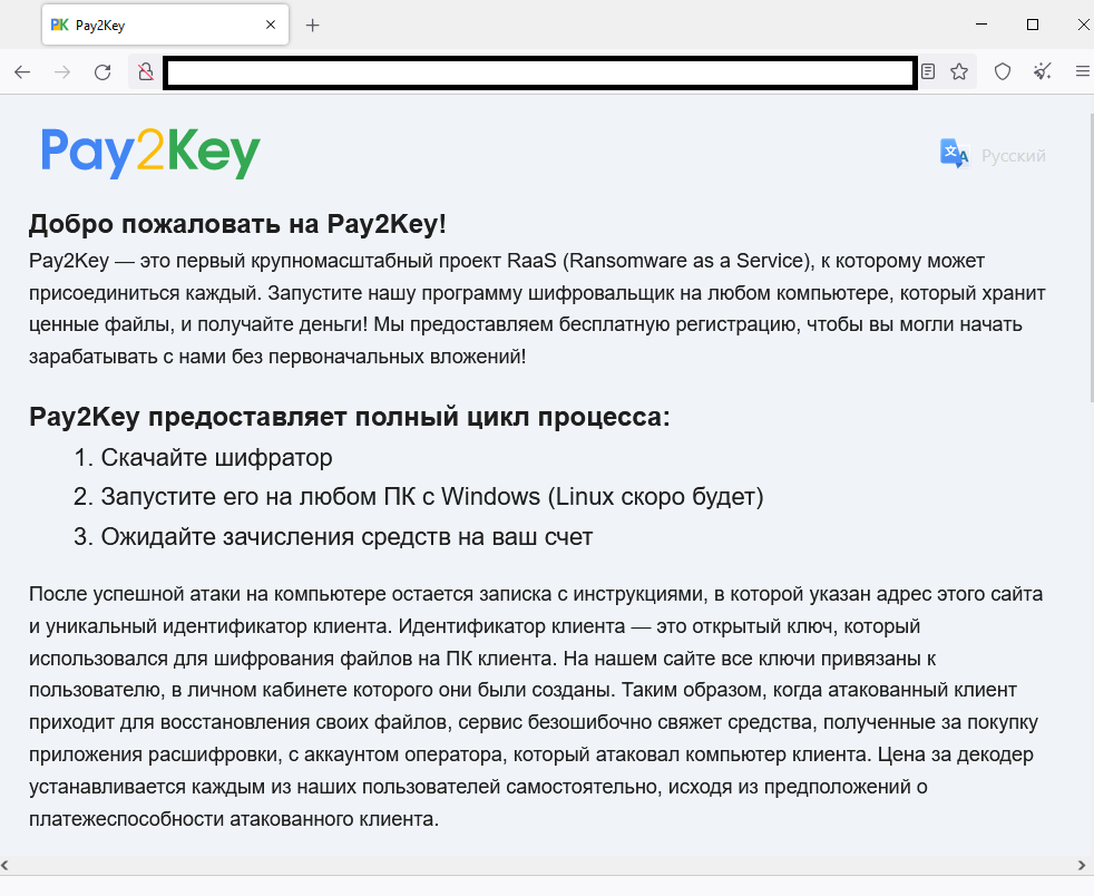 Рис. 4. Снимок экрана — DLS Pay2Key RaaS