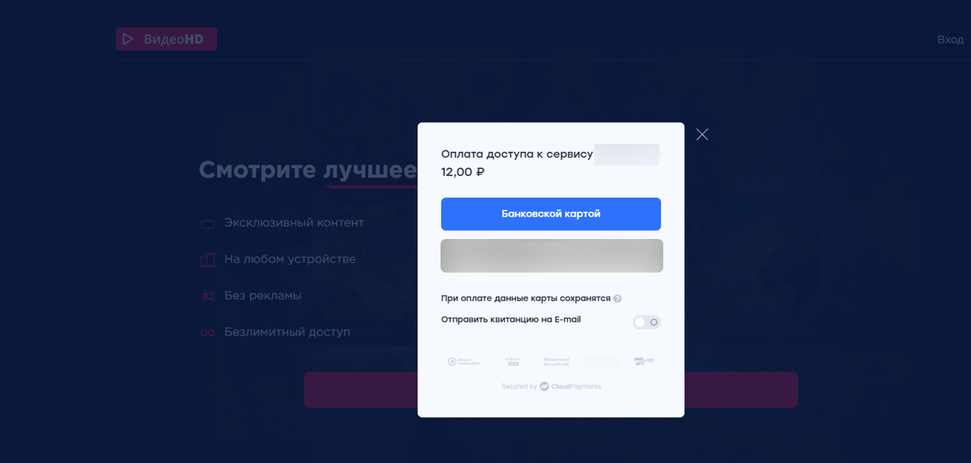 Рис. 6 — Пример страницы оплаты подписки