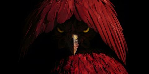 Опасная бритва: стилер RedWing заточен под атаки на клиентов банков России, Узбекистана и Казахстана