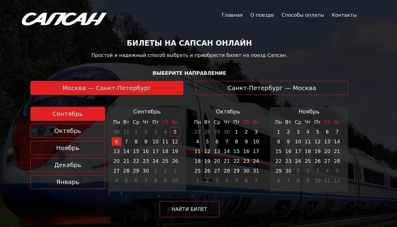 Фишинговый сайт продажи билетов на поезд «Сапсан»