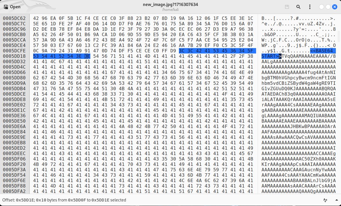 Изображение 15. Байт код изображение с флагом начала строки кодировки Base64