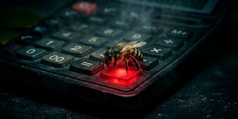 Влипли: средний ущерб от атак киберпреступников на бухгалтеров вырос до 10 млн рублей