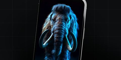 Mamont вышел на охоту: новые версии Android-трояна распространяют через домовые чаты